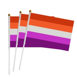 Lesbian Pride Hand Flags x5